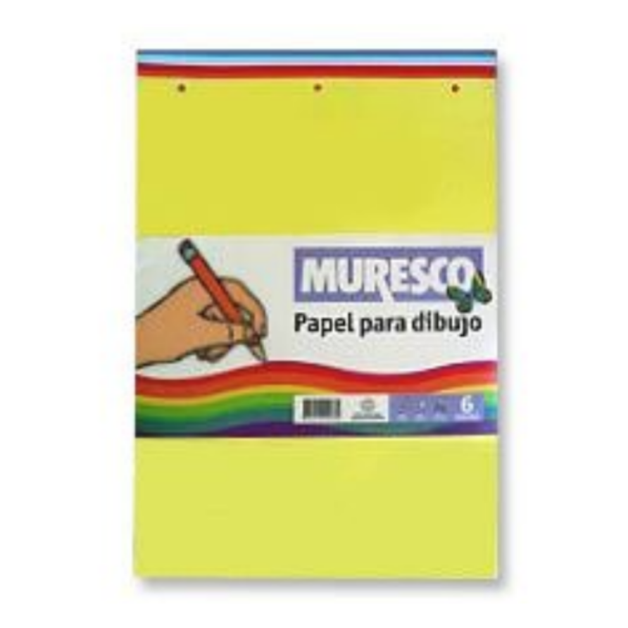 Hojas Canson N°5 Color