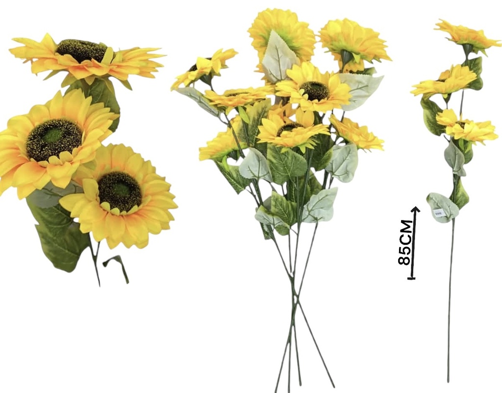 GIRASOL MEDIANO Art. NR510321
