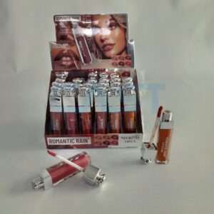 LABIAL LIQUIDO {WD749} LIP GLOSS R2721 CAJA X24 Art. CTX24