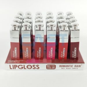 LABIAL LIQUIDO {WD751} LIP GLOSS R2661 CAJA X 24 Art. CT24