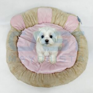 CAMA P/ MASCOTA 70X18CM EN FORMA HUELLA SUAVE