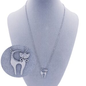 COLLAR Y DIJE DE ACERO QUIRÚRGICO – 22503/14