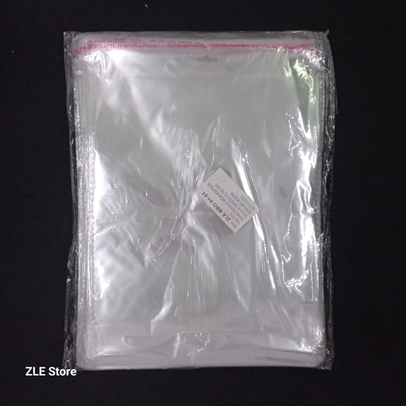 BOLSA PLÁSTICA 20*30CM X100U