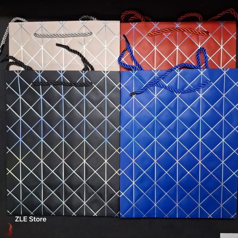 BOLSA DE REGALO 23*18*10CM X12U