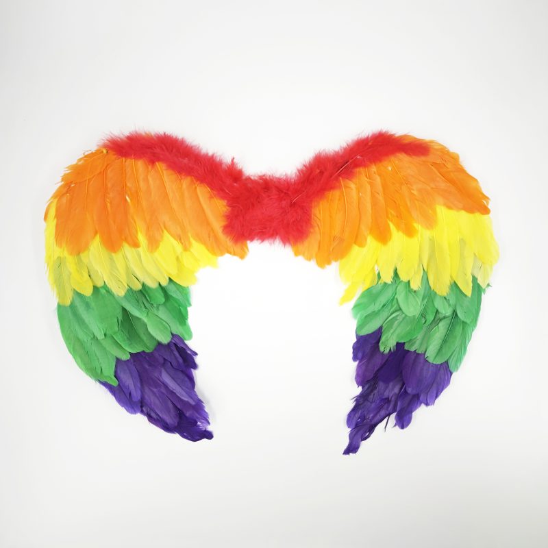ALAS DE ANGEL CON PLUMAS MULTICOLOR