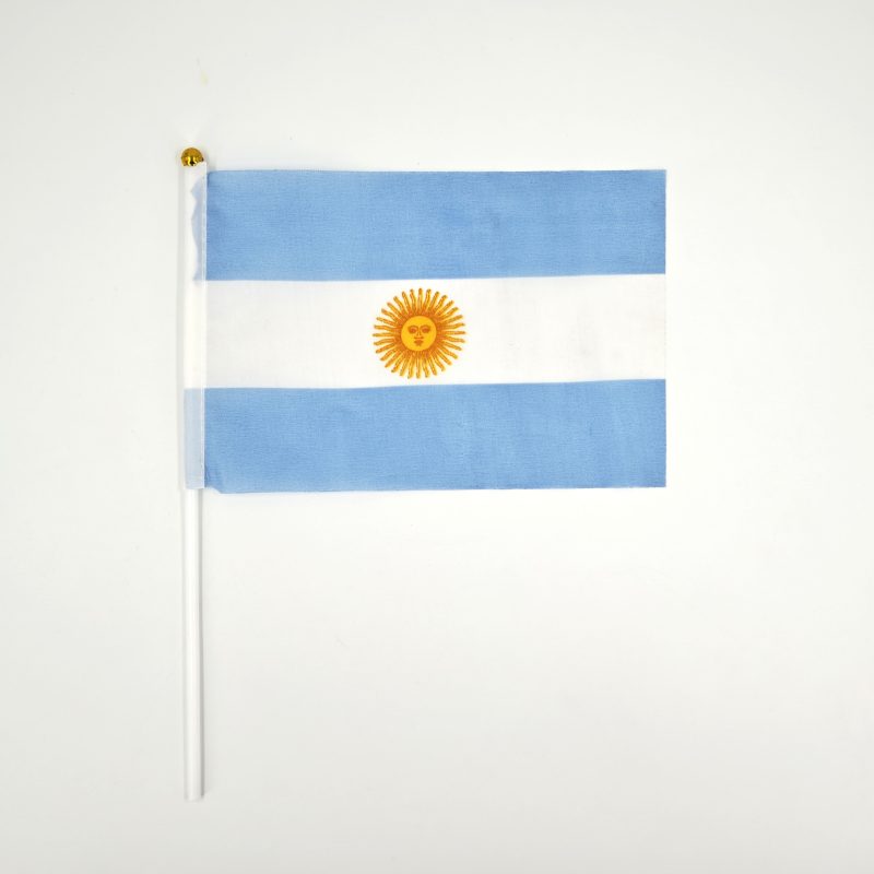 BANDERITA ARGENTINA X12