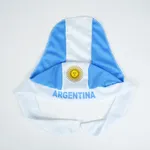 Bandana Argentina x12 Estándar