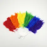 [PREZLCAB0101T] Abanico de plumas multicolor x12 Estándar