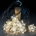 [PREZLLPG25CA] Guirnalda flor 10 leds (AA) Estándar