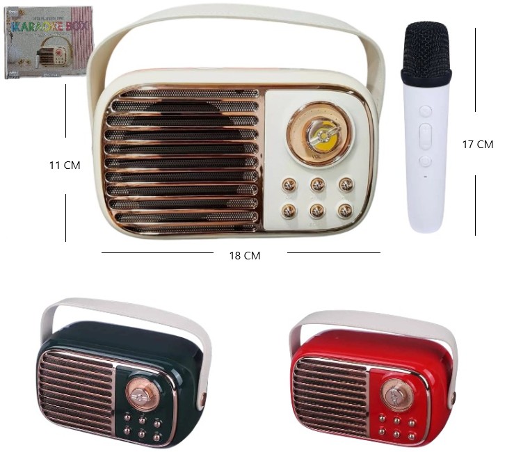 RADIO VINTAGE KARAOKE
