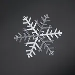 Copos de Nieve Acrílicos Cristal (18 cm)