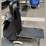 Carro de Compras Plegable de 2 Ruedas