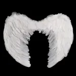 [PREZLCIA0101] Alas de plumas grandes
